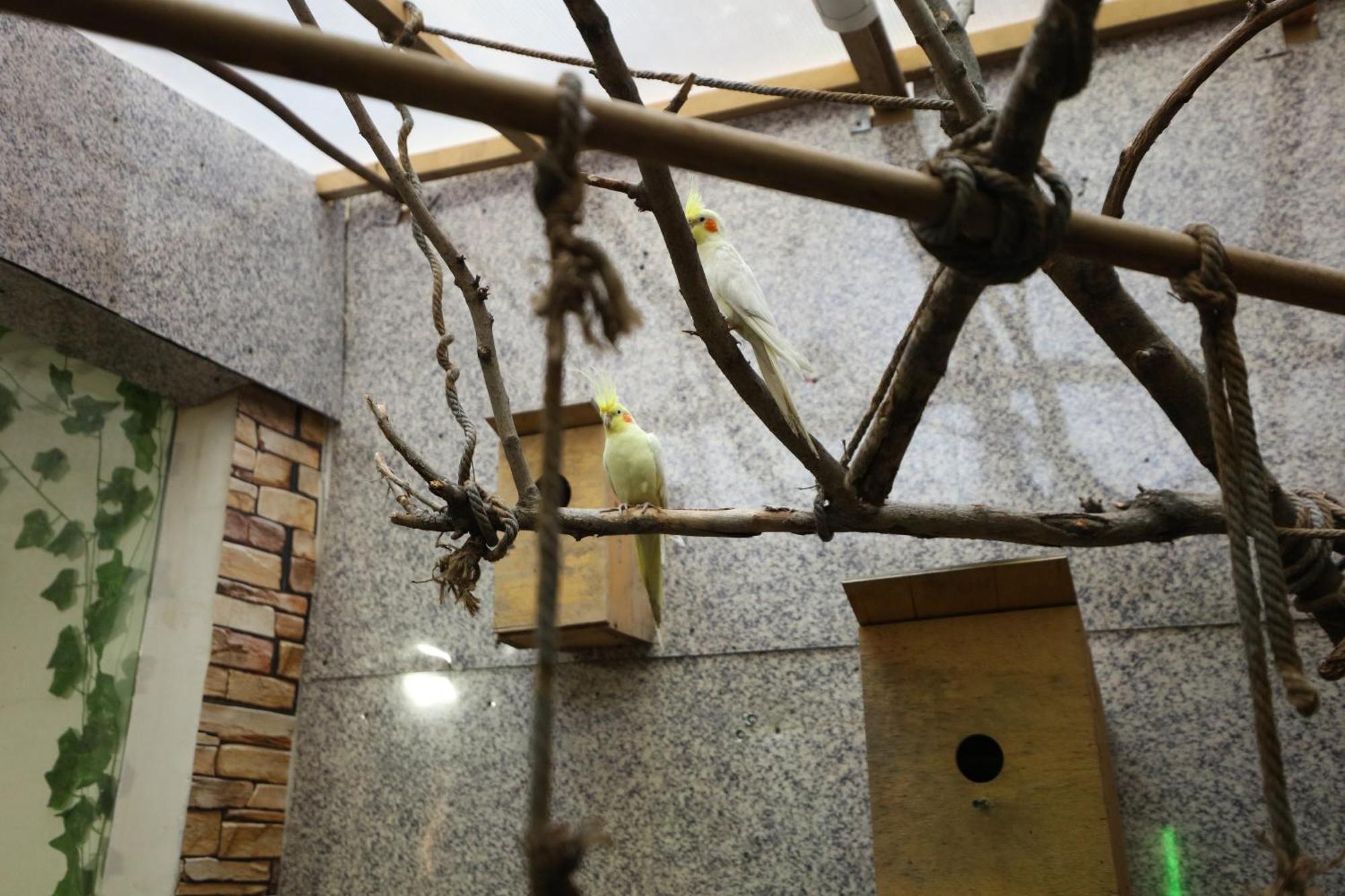 U Ashota Hotel Yerevan Exterior photo